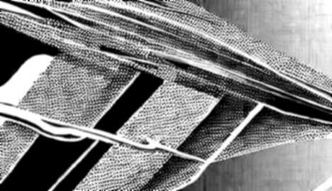 Hyperion's Solvency: A Structural Audit of a zk-Rollup's Empty Promise Hyperion's Solvency: A Structural Audit of a zk-Rollup's Empty Promise