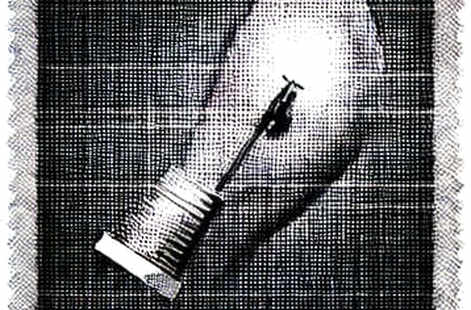 The Signal in the Static: When Bitcoin, Ethereum, and Solana Bleed in Unison