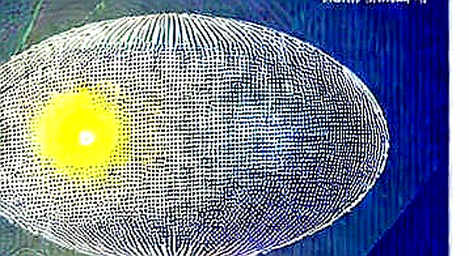 ARK Bought Circle and Coinbase — But This Is Not a Crypto Signal