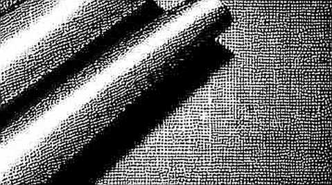 When the Feed Goes Silent: Reading the Market's Empty Input